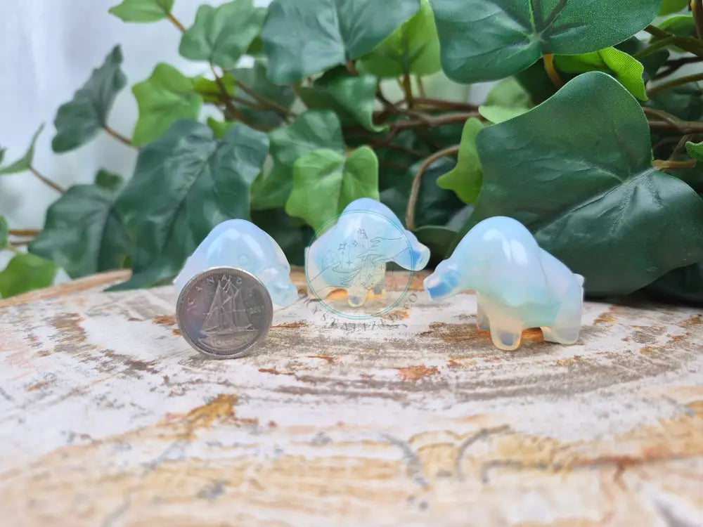 OPALITE PHANPY