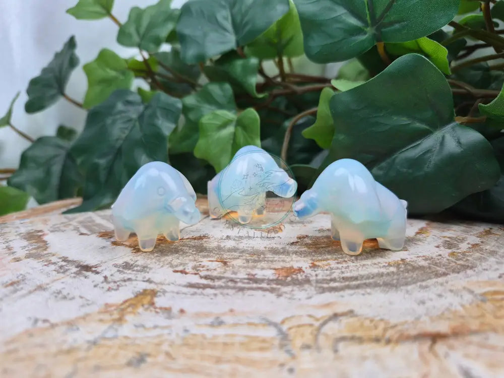 OPALITE PHANPY