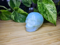 OPALITE SKULL