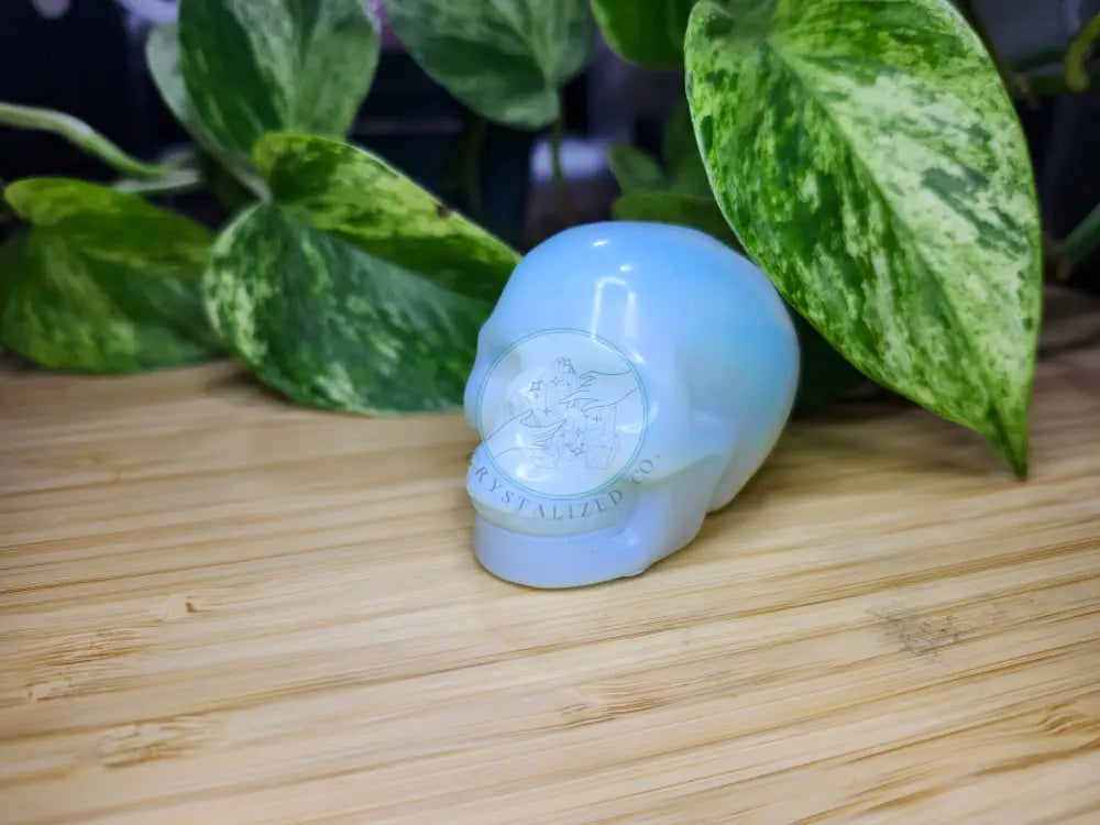 OPALITE SKULL
