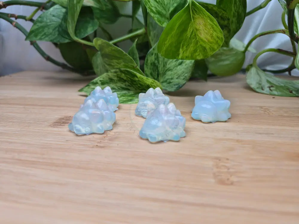OPALITE SNOM