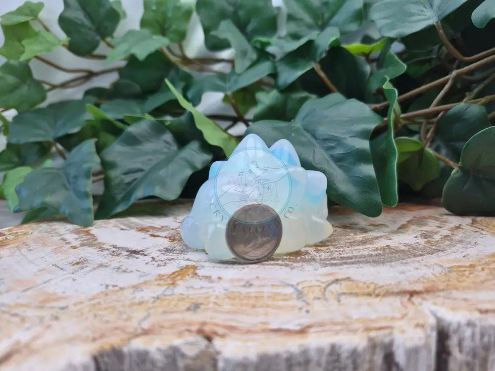 OPALITE SNOM MD