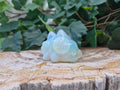 OPALITE SNOM MD