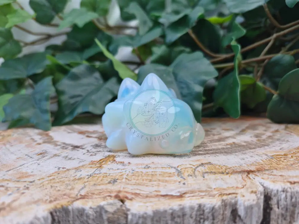 OPALITE SNOM MD