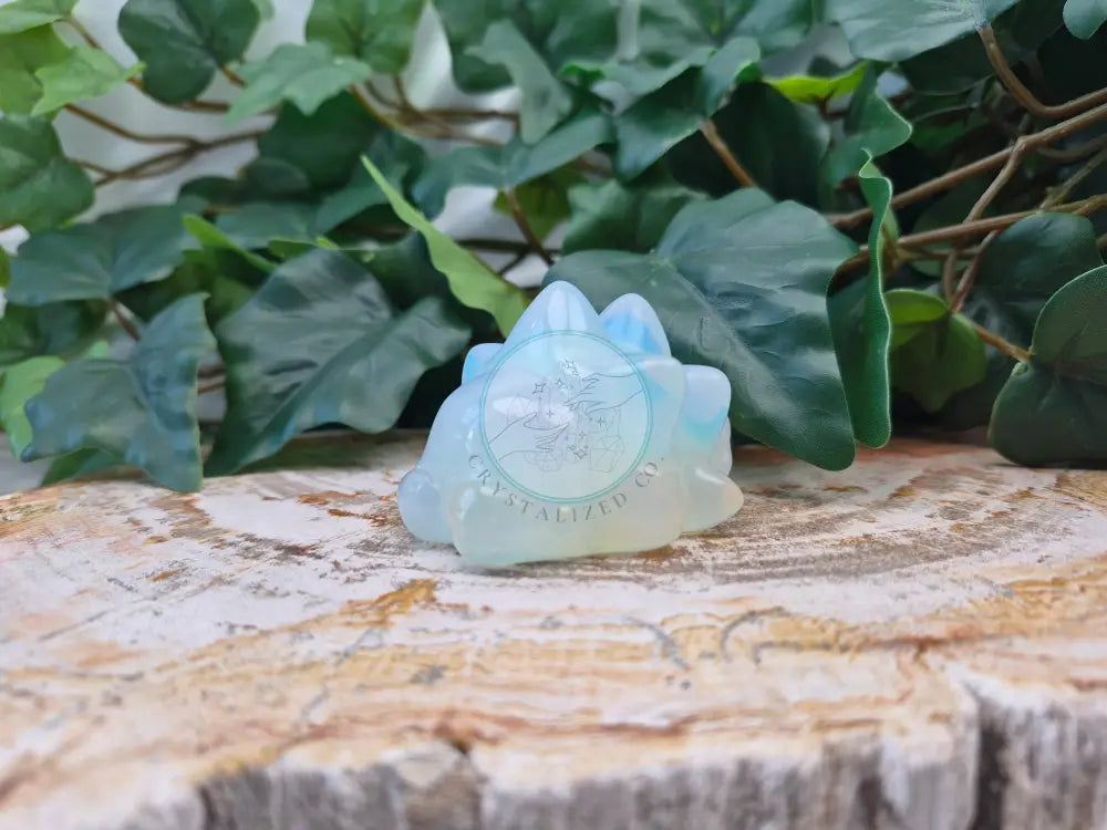 OPALITE SNOM MD
