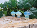 OPALITE SNOOPY