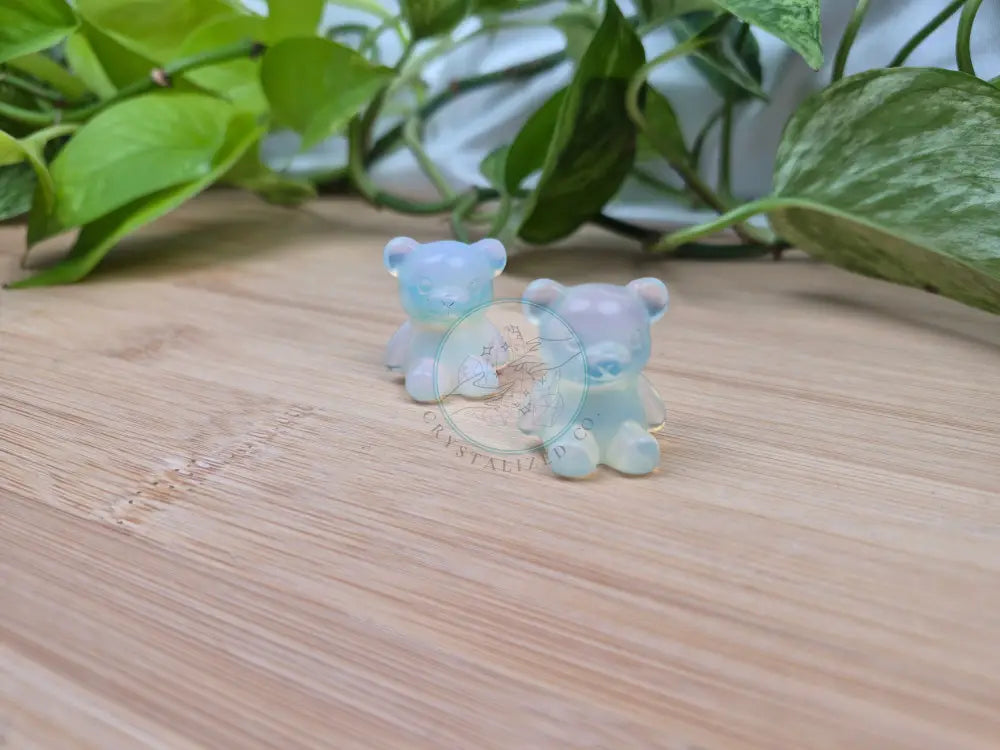 OPALITE TEDDY BEAR