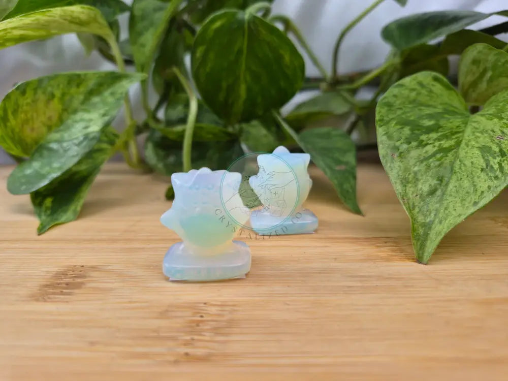 OPALITE TOGEPI