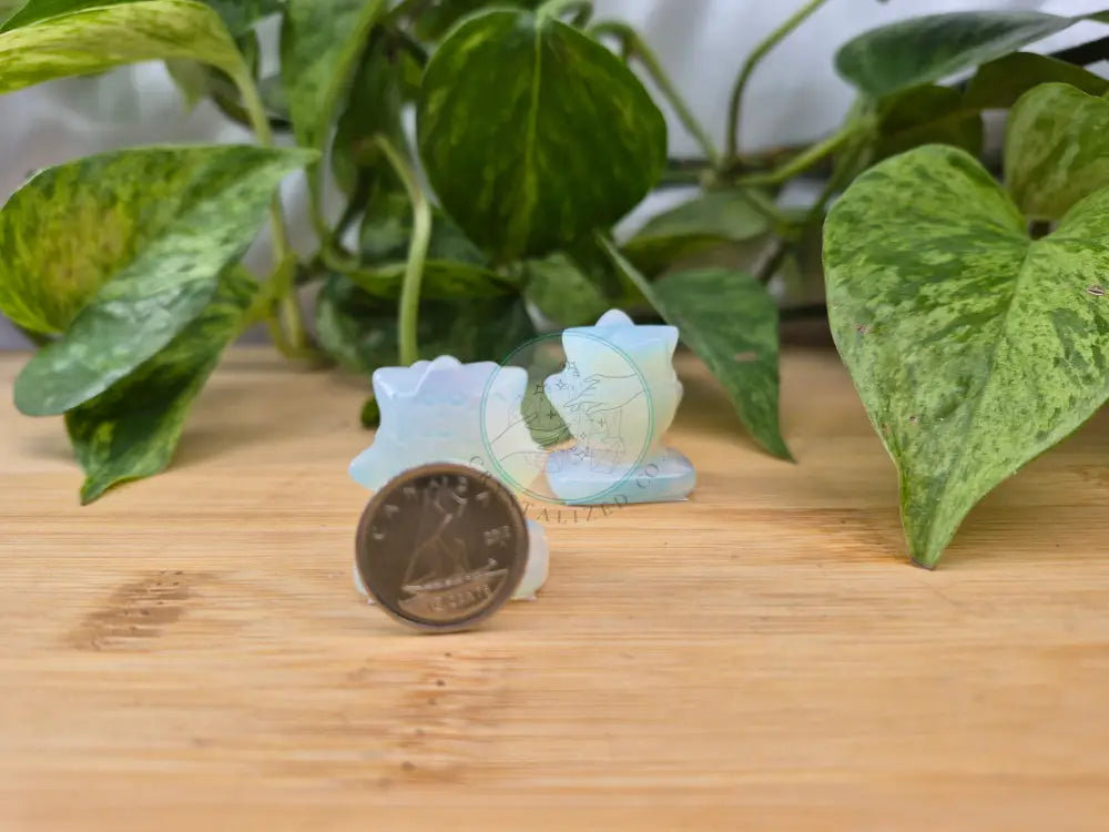 OPALITE TOGEPI