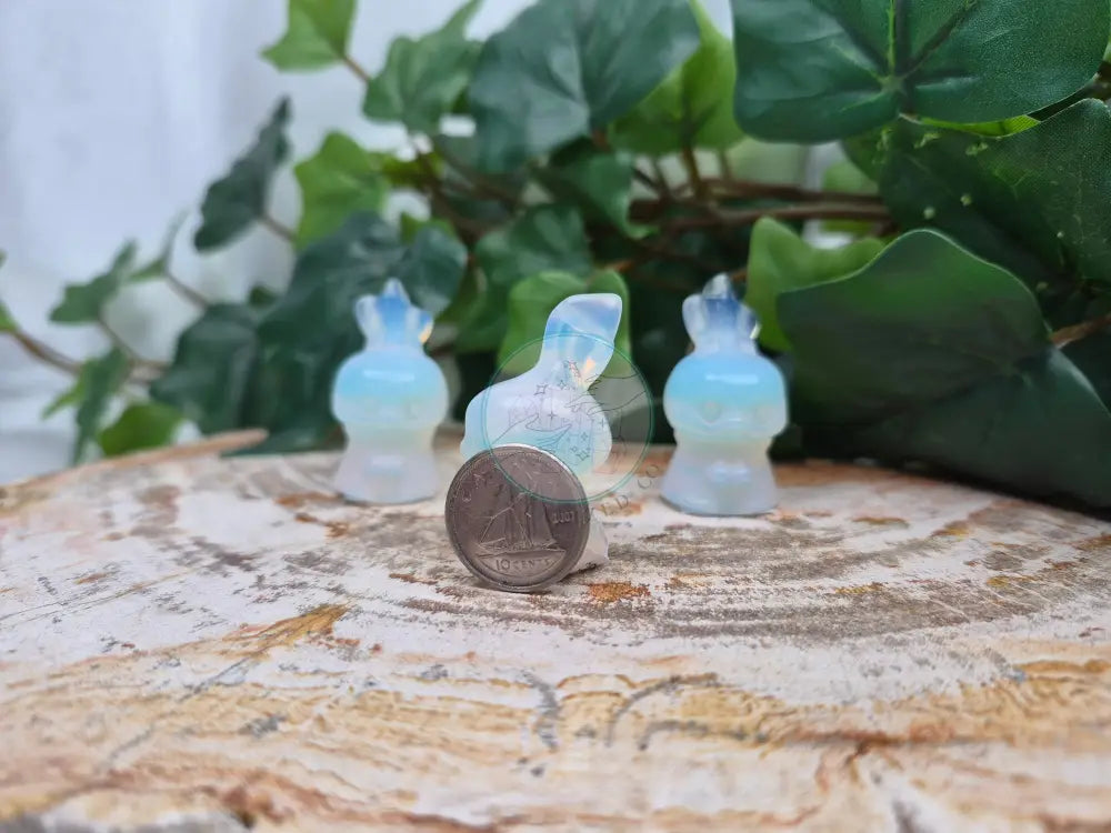 OPALITE TORCHIC