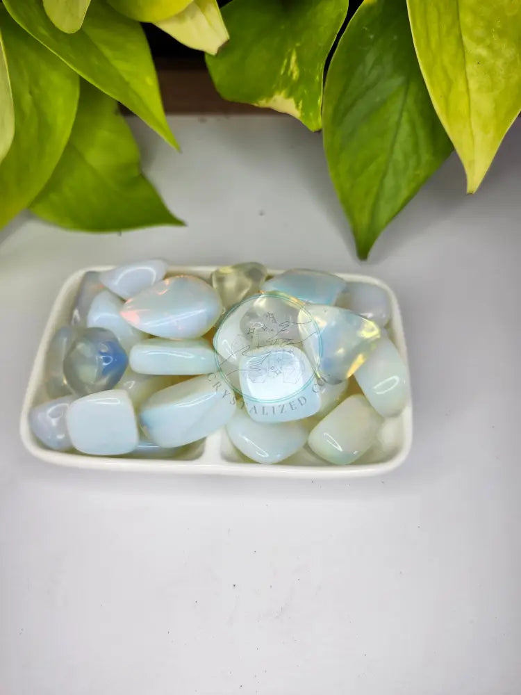 OPALITE TUMBLED STONE - TUMBLED STONES