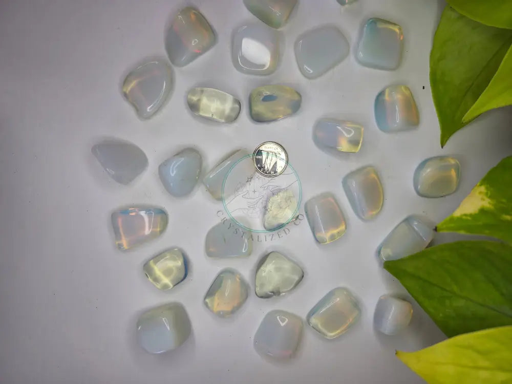 OPALITE TUMBLED STONE - TUMBLED STONES
