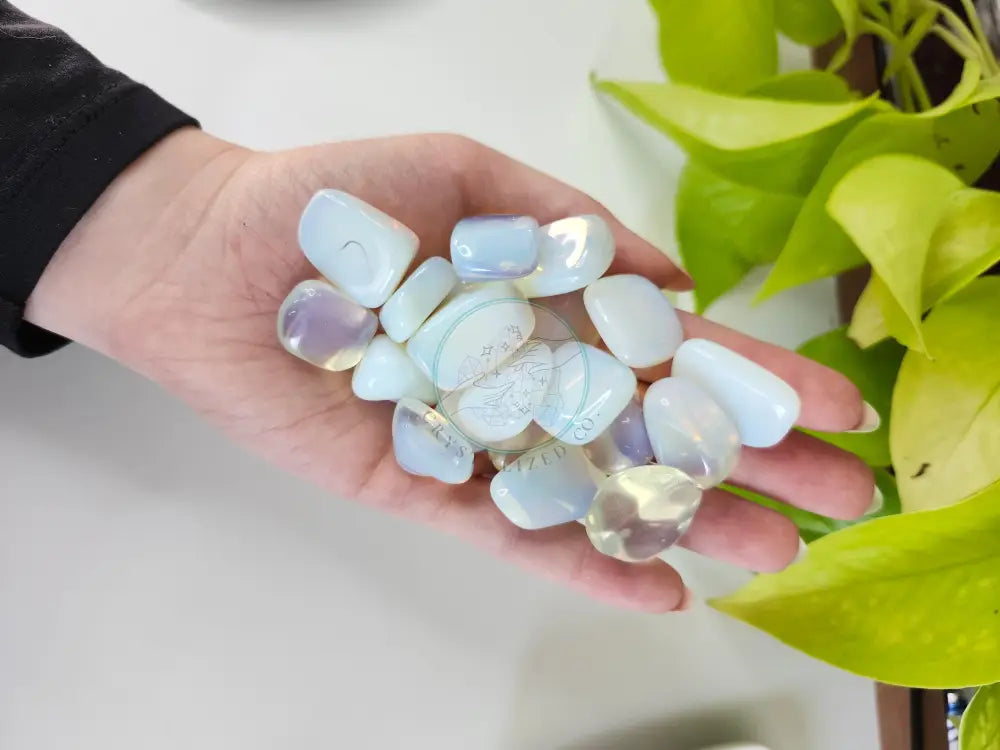 OPALITE TUMBLED STONE - TUMBLED STONES