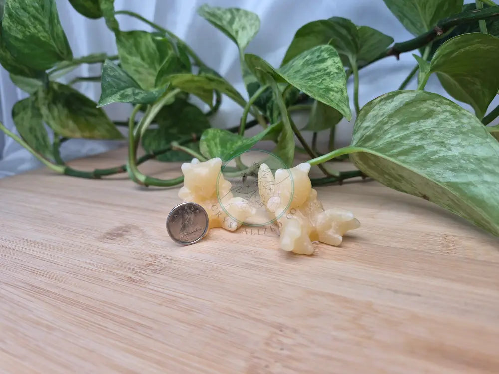 ORANGE CALCITE ABRA MD