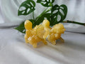 ORANGE CALCITE ARCANINE