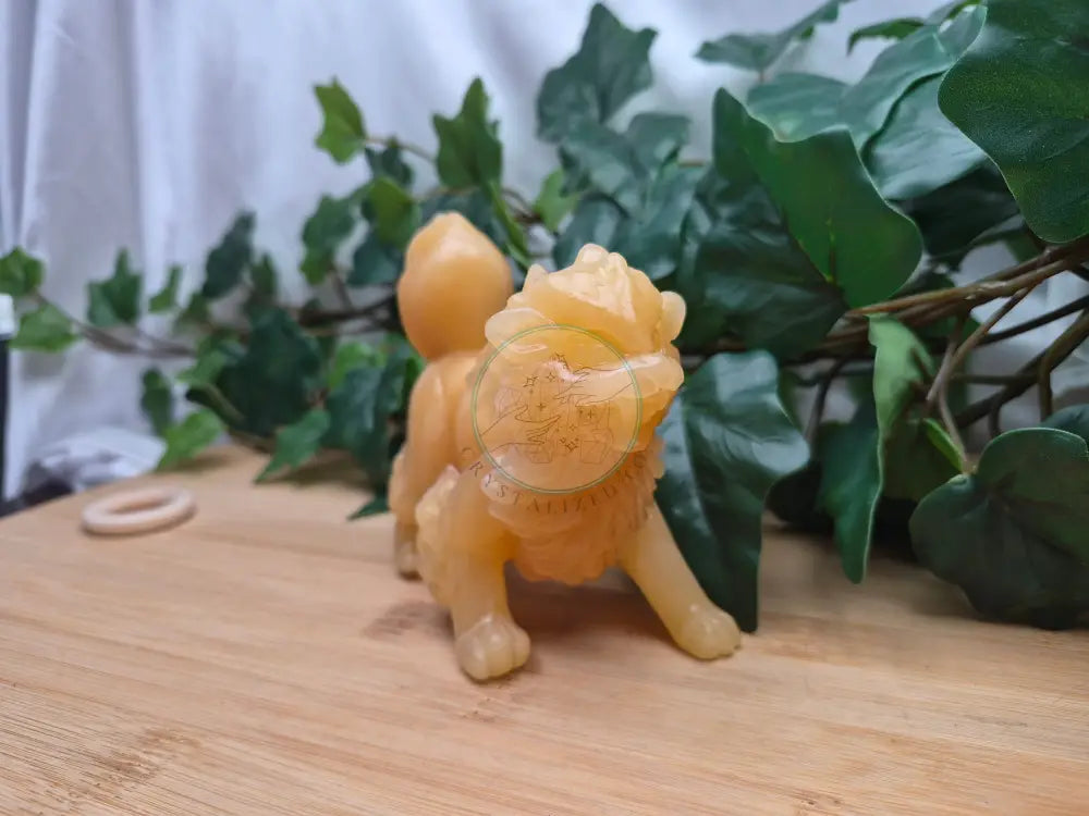 ORANGE CALCITE ARCANINE