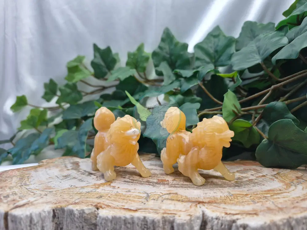 ORANGE CALCITE ARCHANINE MD