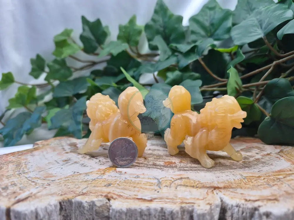 ORANGE CALCITE ARCHANINE MD