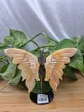 ORANGE CALCITE BUTTERFLY WINGS