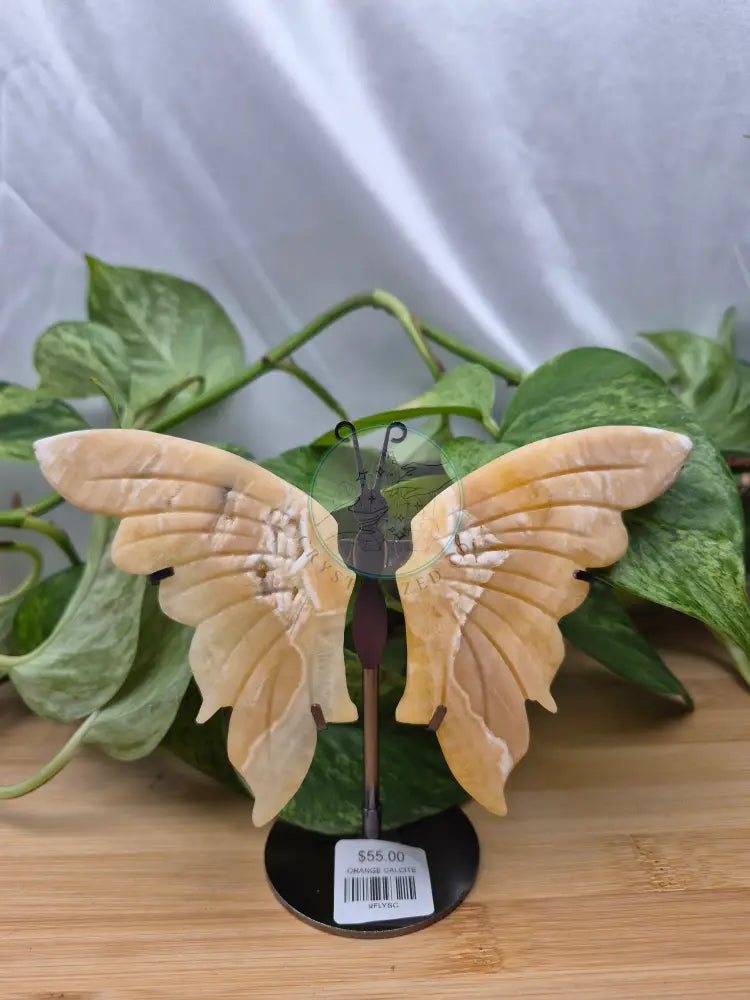 ORANGE CALCITE BUTTERFLY WINGS