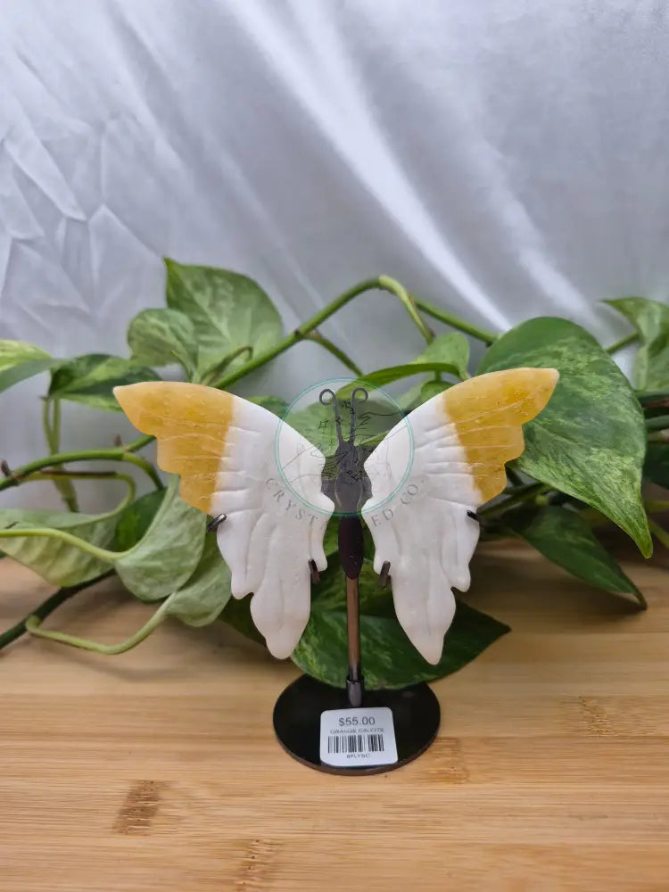 ORANGE CALCITE BUTTERFLY WINGS