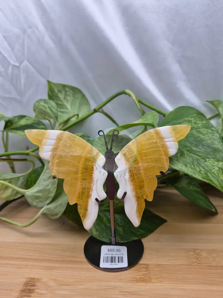 ORANGE CALCITE BUTTERFLY WINGS