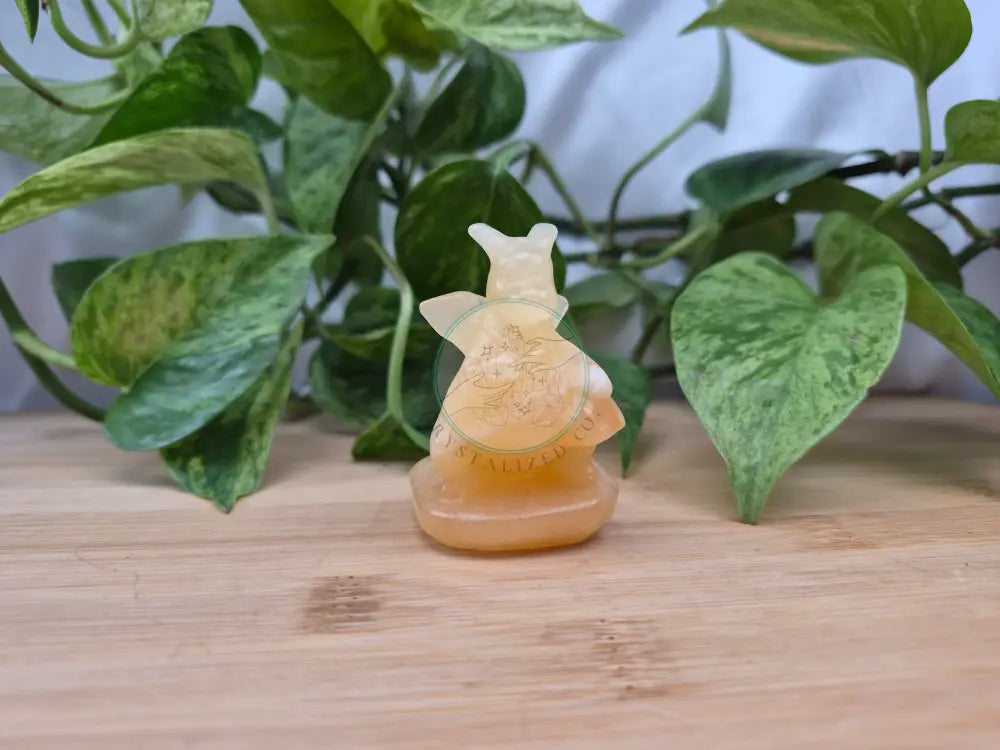 ORANGE CALCITE DRAGONITE MD