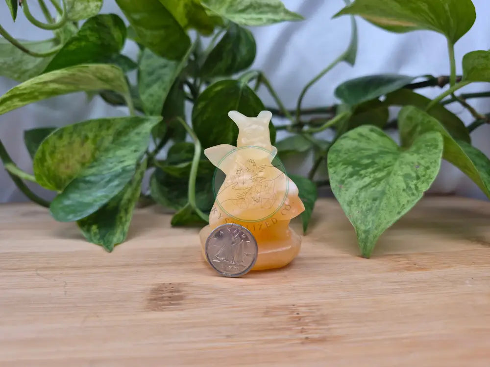 ORANGE CALCITE DRAGONITE MD