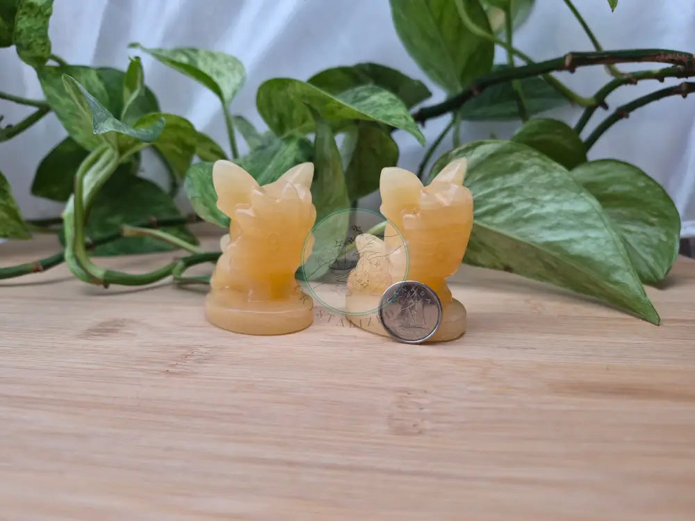 ORANGE CALCITE LILLIPUP LG