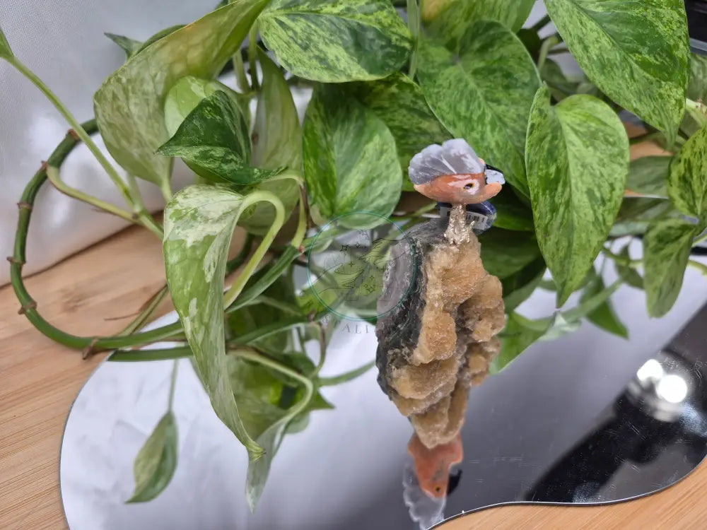 ORANGE CALCITE PARROT ON CALCIFIED AMETHYST BASE