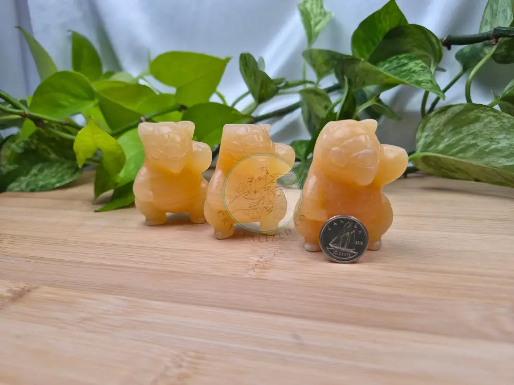 ORANGE CALCITE SANDSHREW