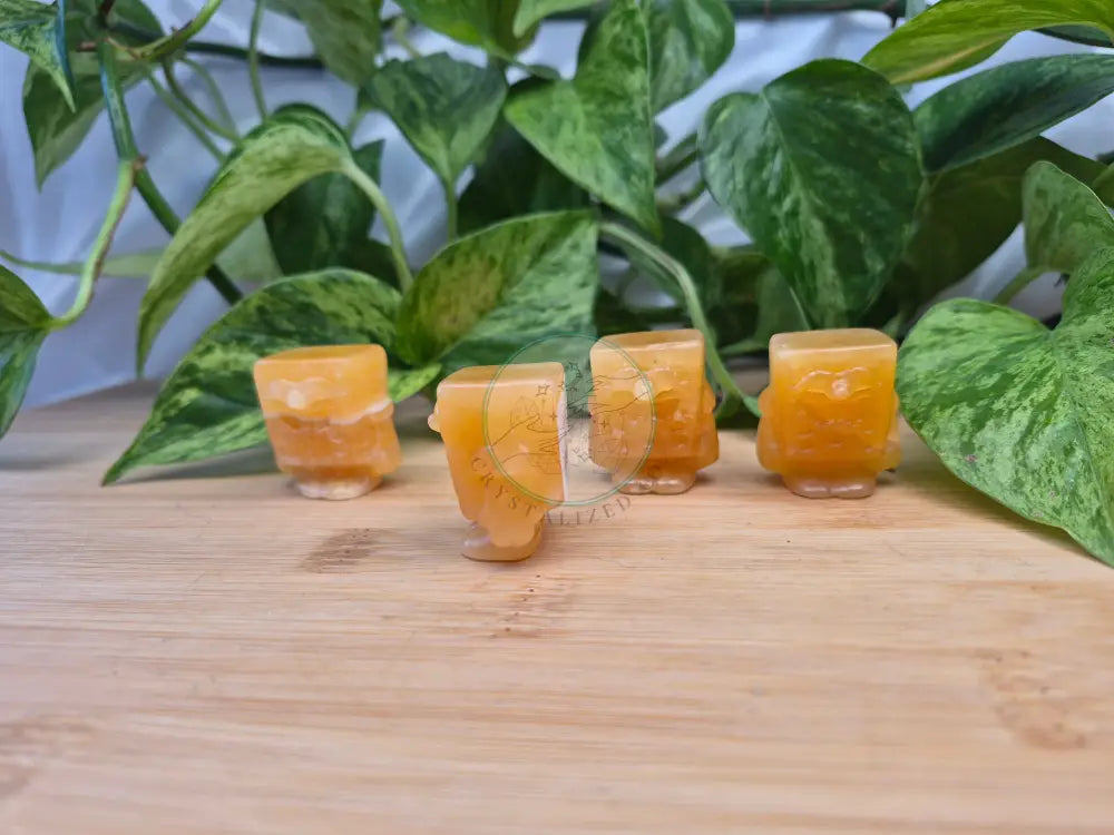 ORANGE CALCITE SPONGEBOB