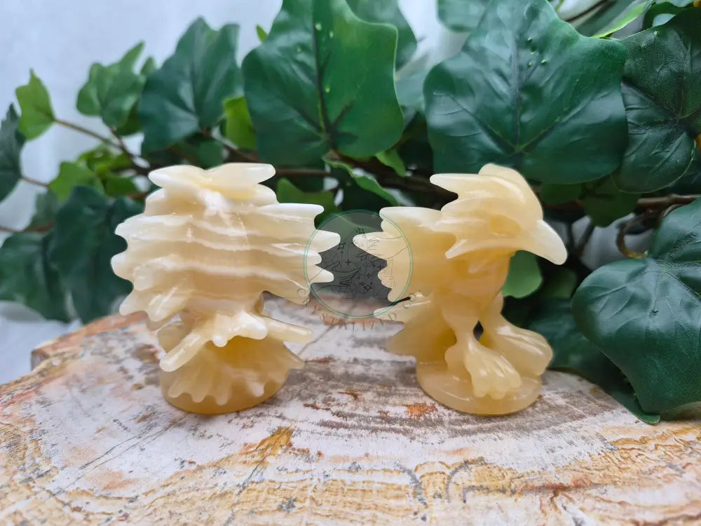 ORANGE CALCITE ZAPDOS