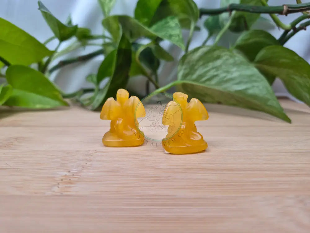 ORANGE CATS EYE CHARIZARD