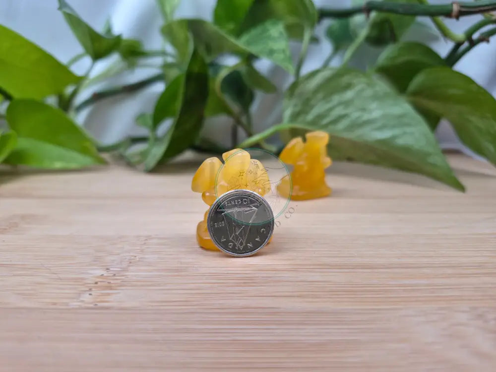 ORANGE CATS EYE CHARIZARD