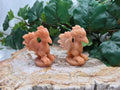 PEACH AVENTURINE MOLTRES