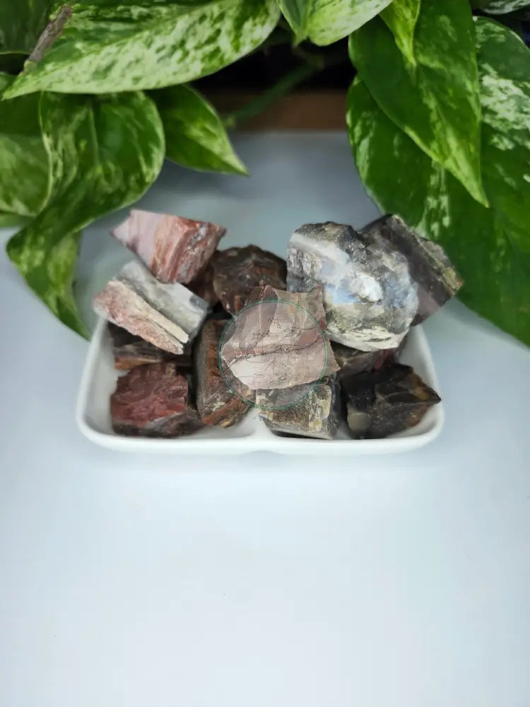 PETRIFIED WOOD ROUGH STONE - ROUGH STONES