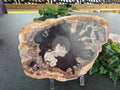 PETRIFIED WOOD SLAB #1