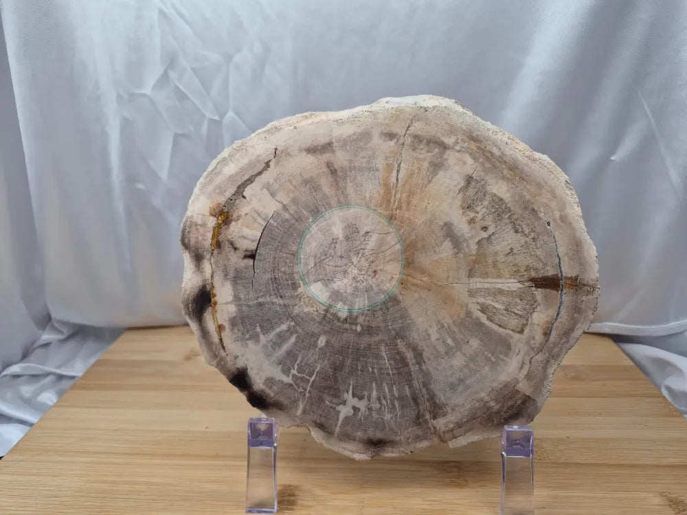 PETRIFIED WOOD SLAB 1