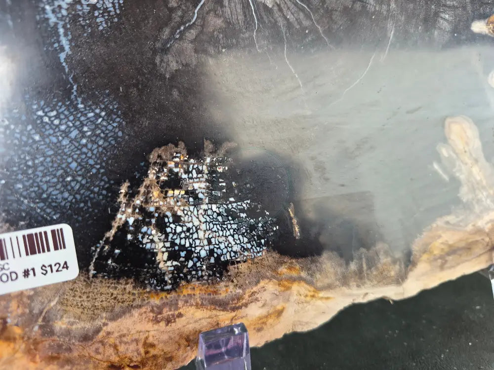 PETRIFIED WOOD SLAB #1