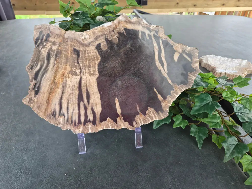 PETRIFIED WOOD SLAB #4