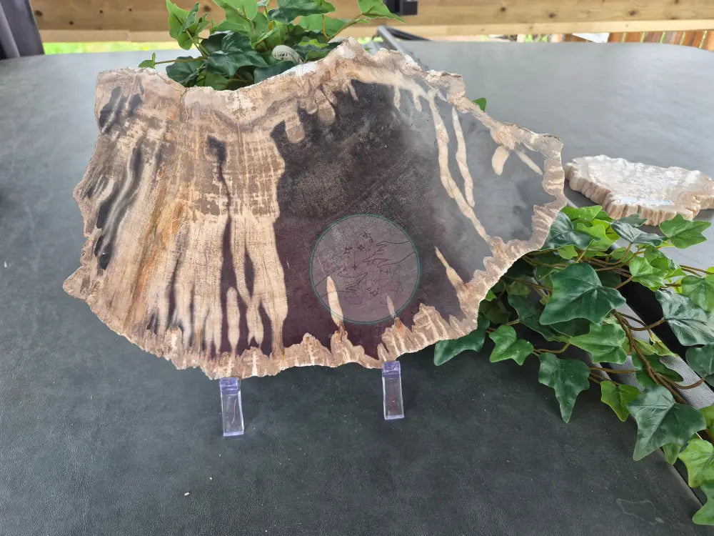 PETRIFIED WOOD SLAB #4