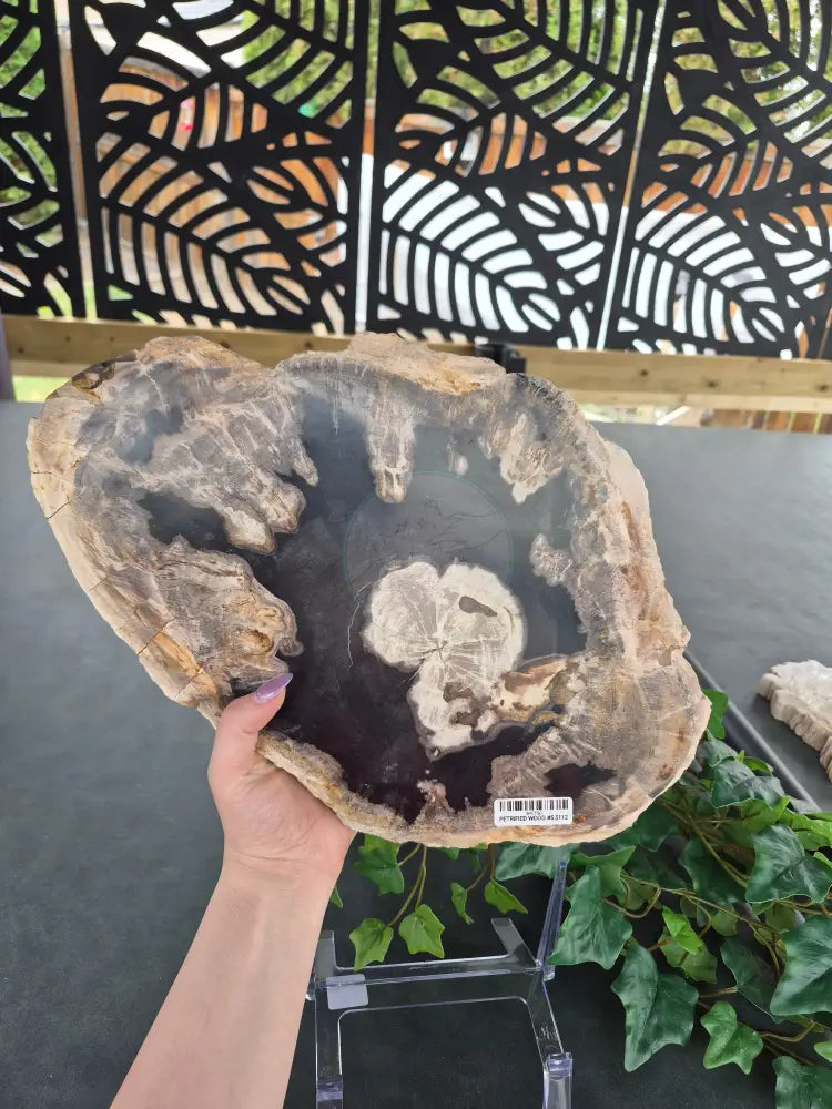 PETRIFIED WOOD SLAB #5