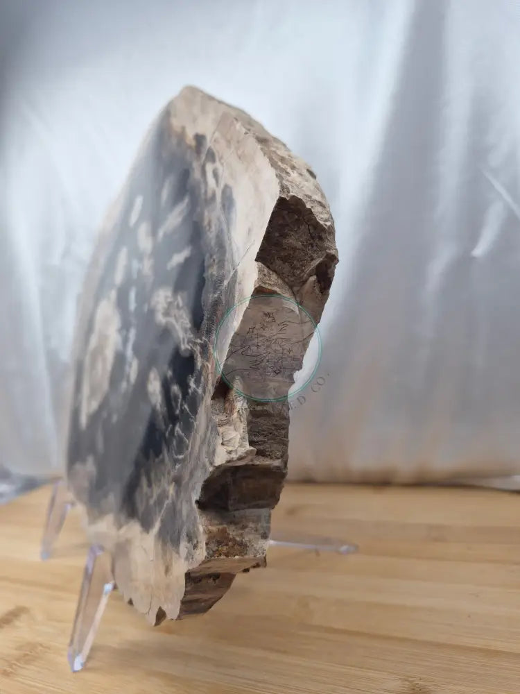 PETRIFIED WOOD SLAB 8