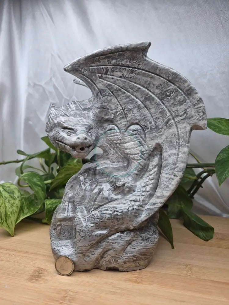 PICASSO JASPER DRAGON