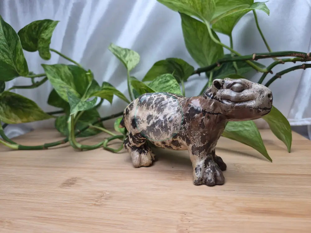 PICTURE JASPER CAPYBARA