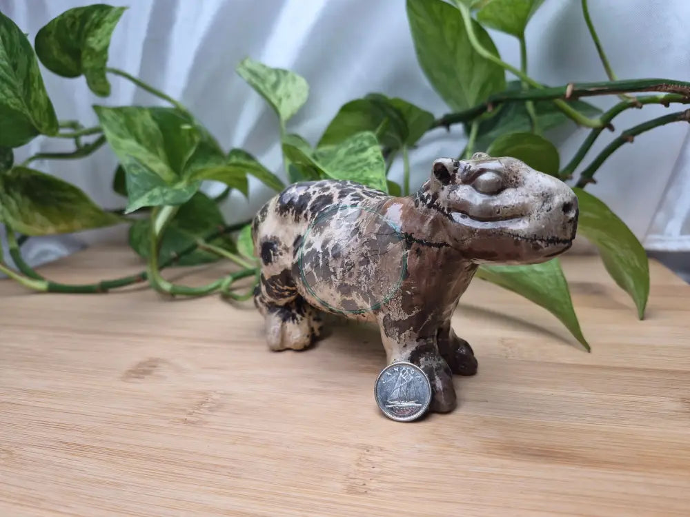 PICTURE JASPER CAPYBARA