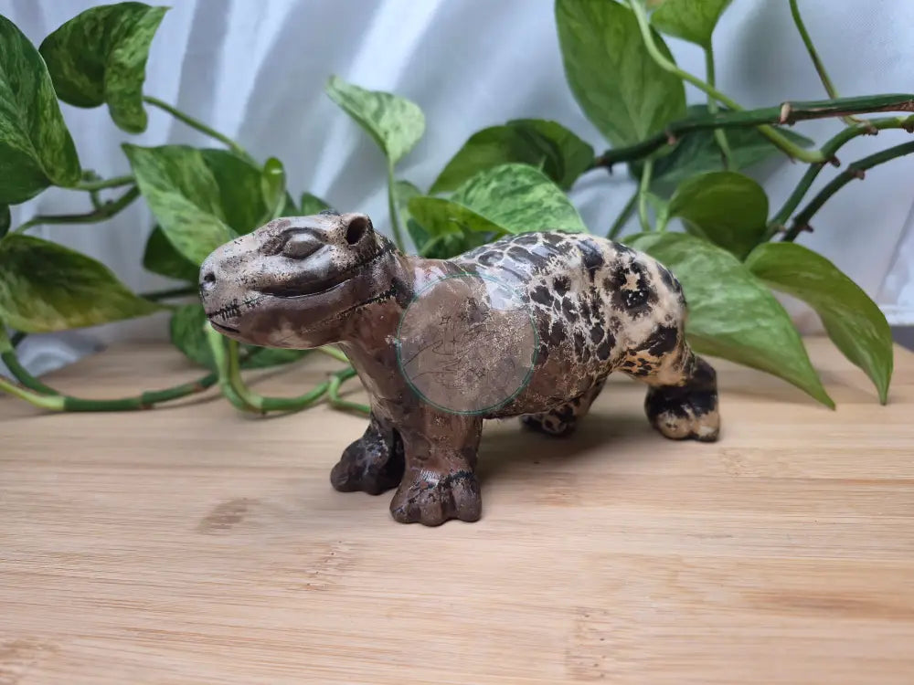 PICTURE JASPER CAPYBARA
