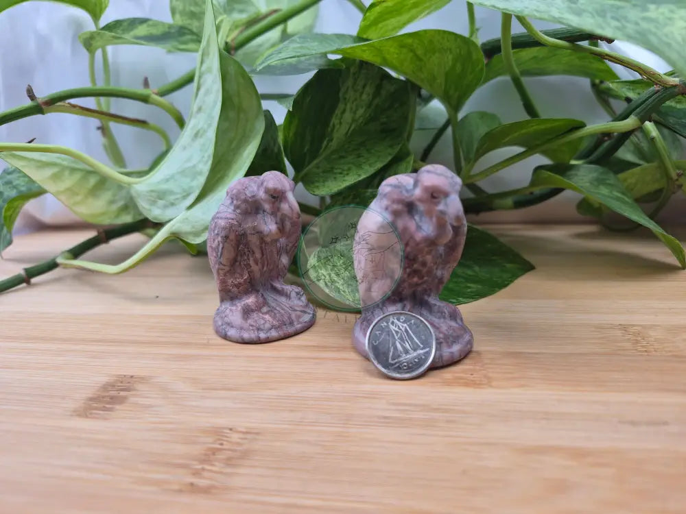 PICTURE JASPER TURKEY VULTURE
