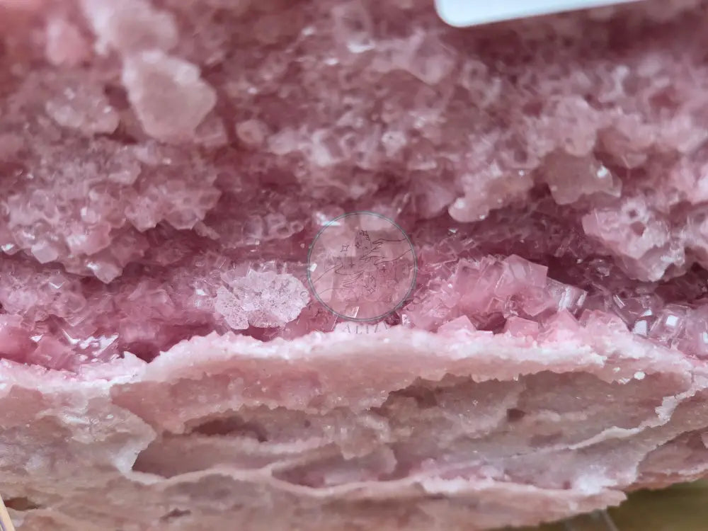 PINK HALITE CLUSTER XL